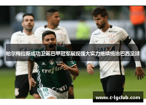 帕尔梅拉斯成功卫冕巴甲冠军展现强大实力继续统治巴西足球
